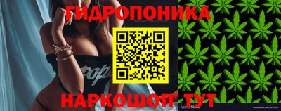 индика Берёзовский