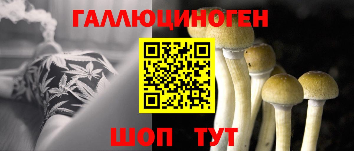 Галлюциногенные грибы Magic Shrooms Канаш